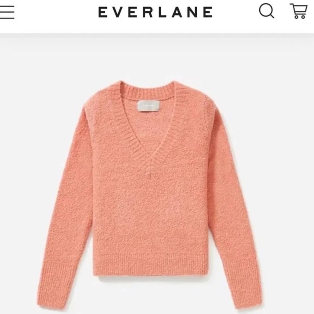 Everlane Teddy Sweater